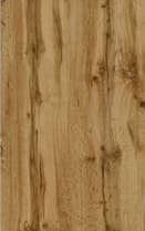 Дуб Вотан